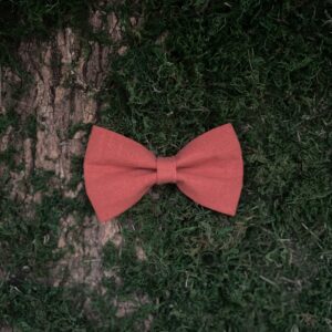 Noeud papillon - Orange