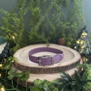 Collier uni en Biothane - Violet