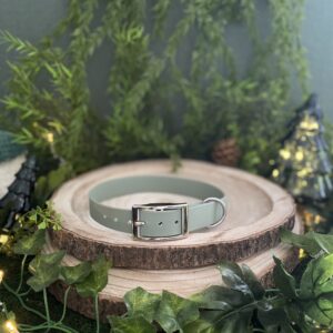 Collier uni en Biothane - Menthe