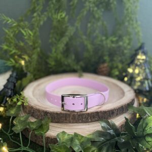 Collier uni en Biothane - Parme