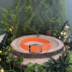 Collier uni en Biothane - Orange