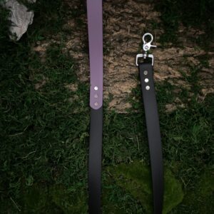 Laisse bi-couleur - Violet & Noir