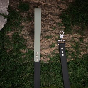 Laisse bi-couleur - Menthe & Noir