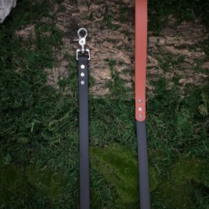 Laisse bi-couleur - Abricot & Noir