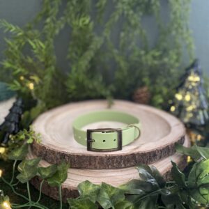 Collier uni en Biothane - Vert Pomme
